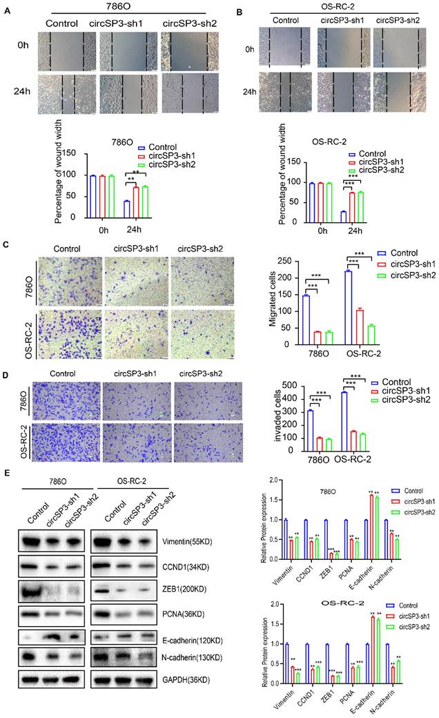 J Cancer Image