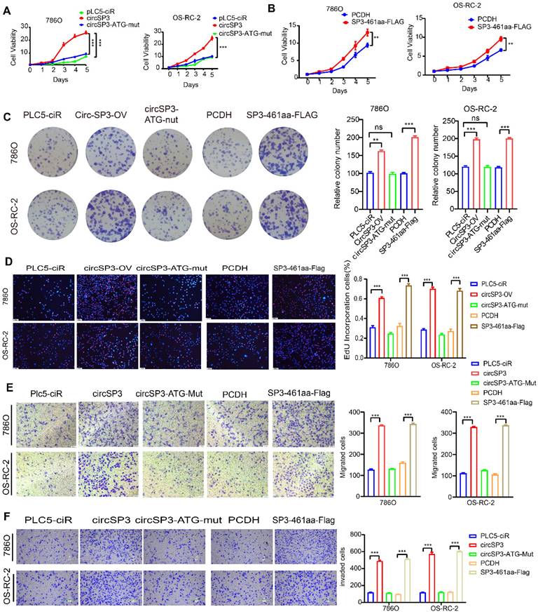 J Cancer Image