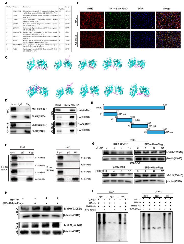 J Cancer Image