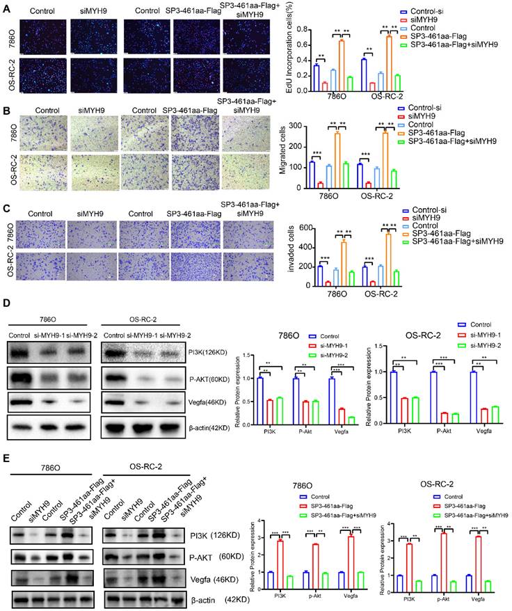 J Cancer Image