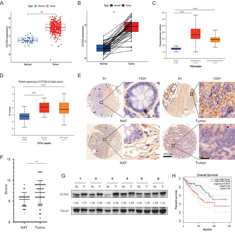 J Cancer Image