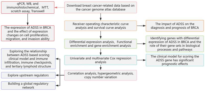 J Cancer Image