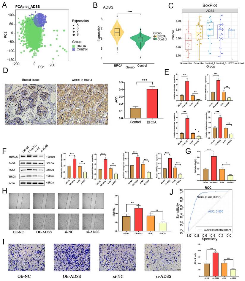 J Cancer Image