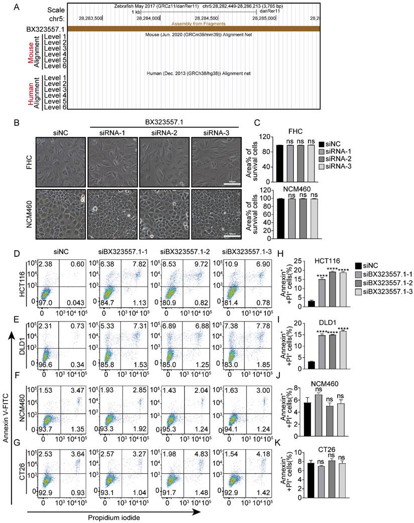 J Cancer Image