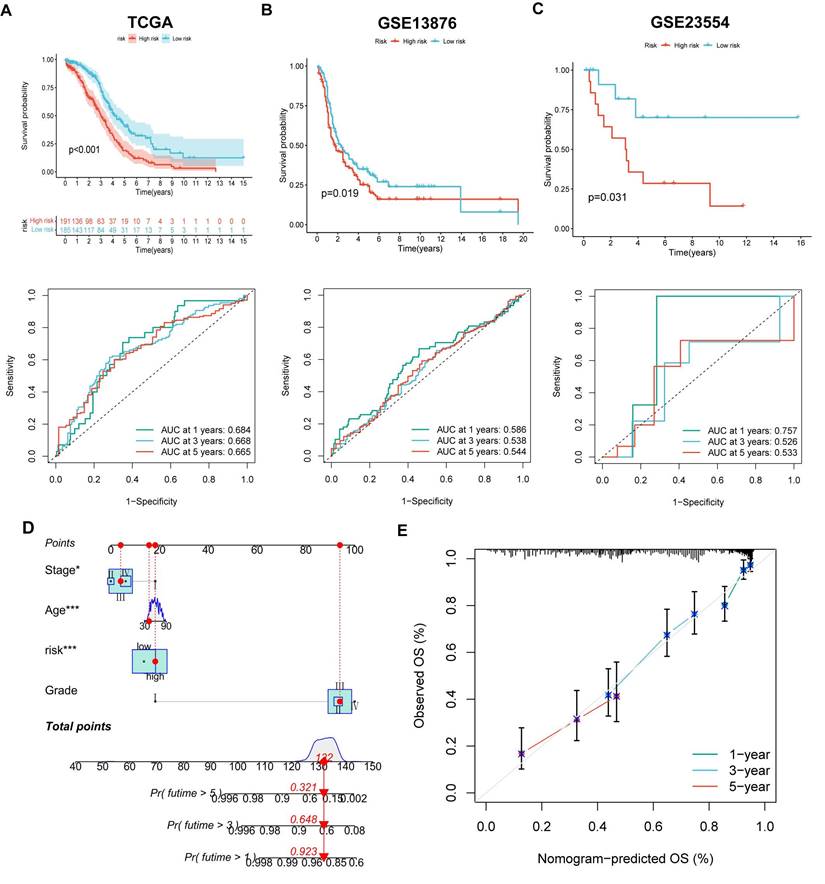 J Cancer Image