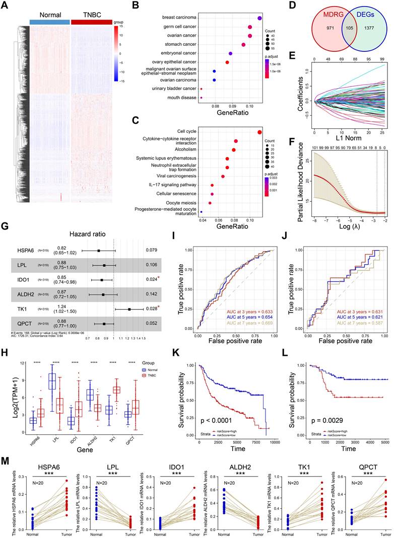 J Cancer Image