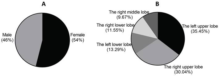 J Cancer Image