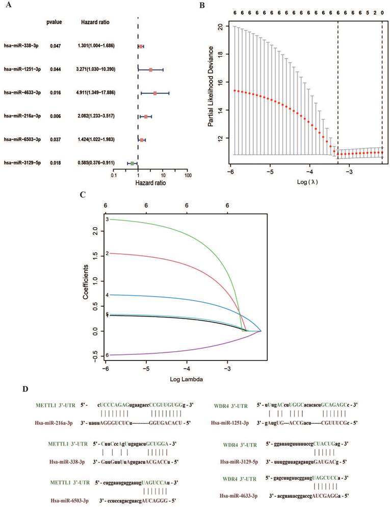 J Cancer Image