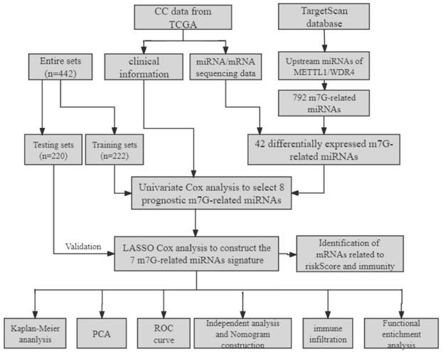 J Cancer Image