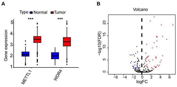 J Cancer Image