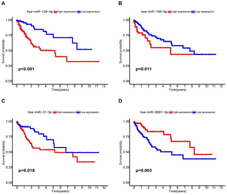 J Cancer Image