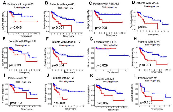 J Cancer Image