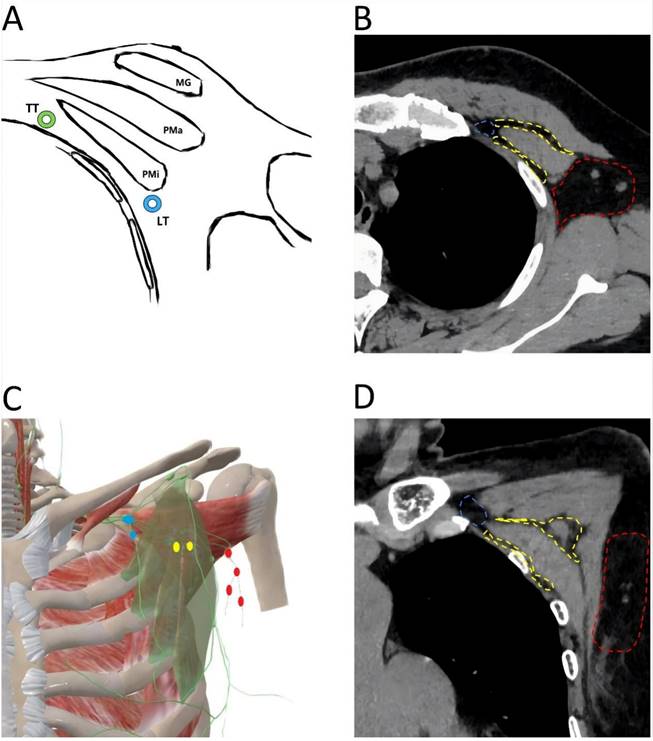 J Cancer Image