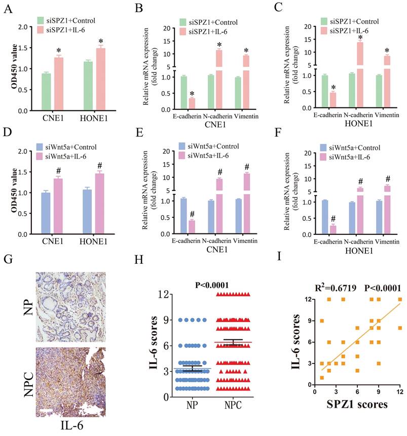 J Cancer Image