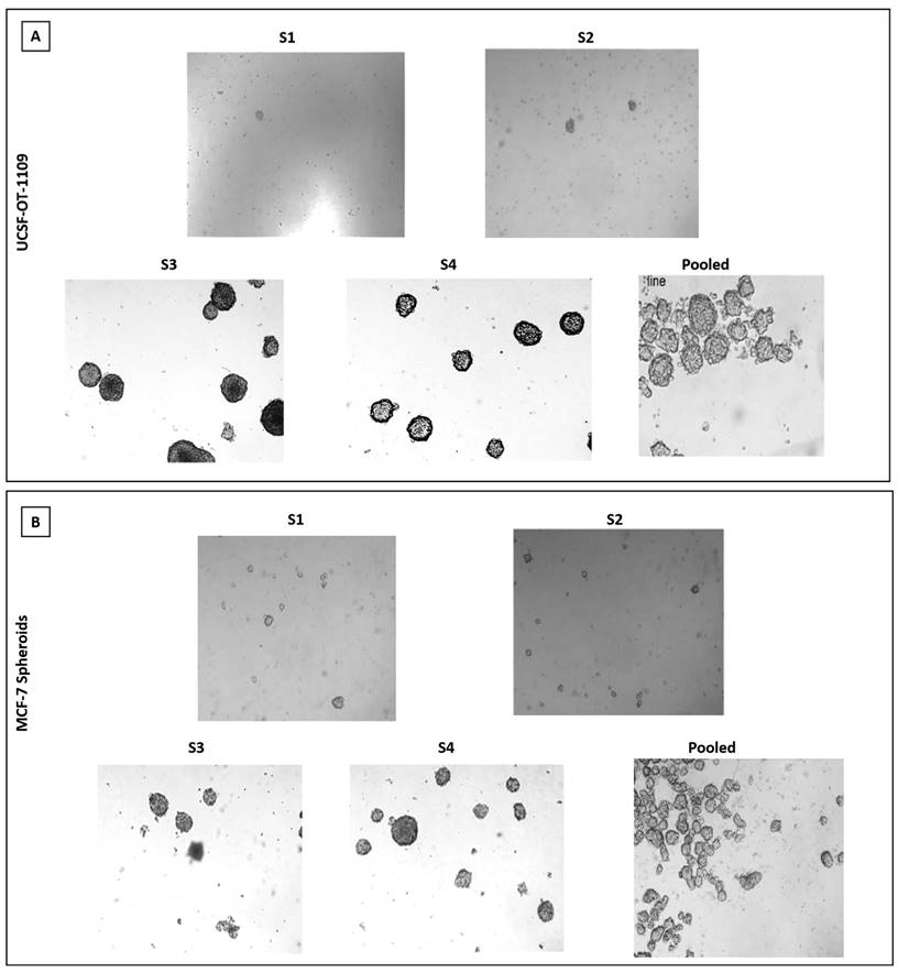 J Cancer Image