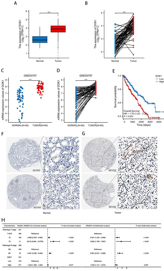 J Cancer Image