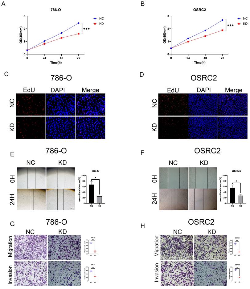 J Cancer Image