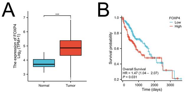 J Cancer Image