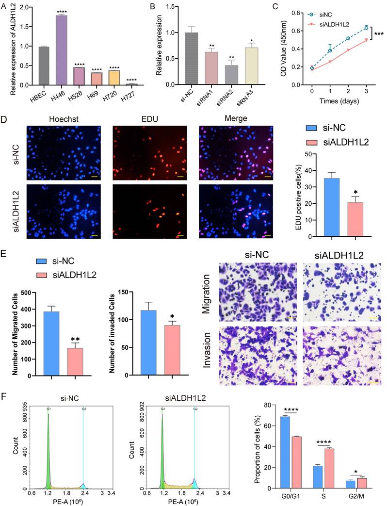 J Cancer Image