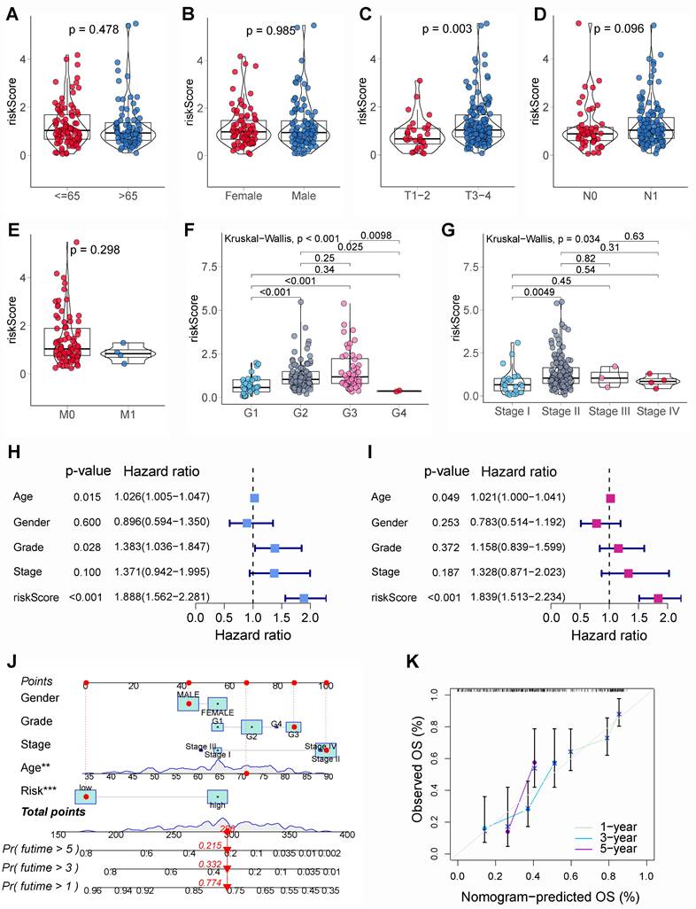 J Cancer Image