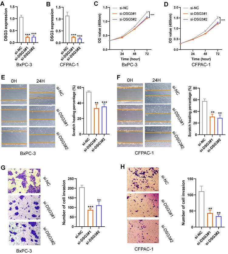 J Cancer Image