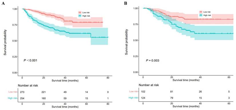 J Cancer Image