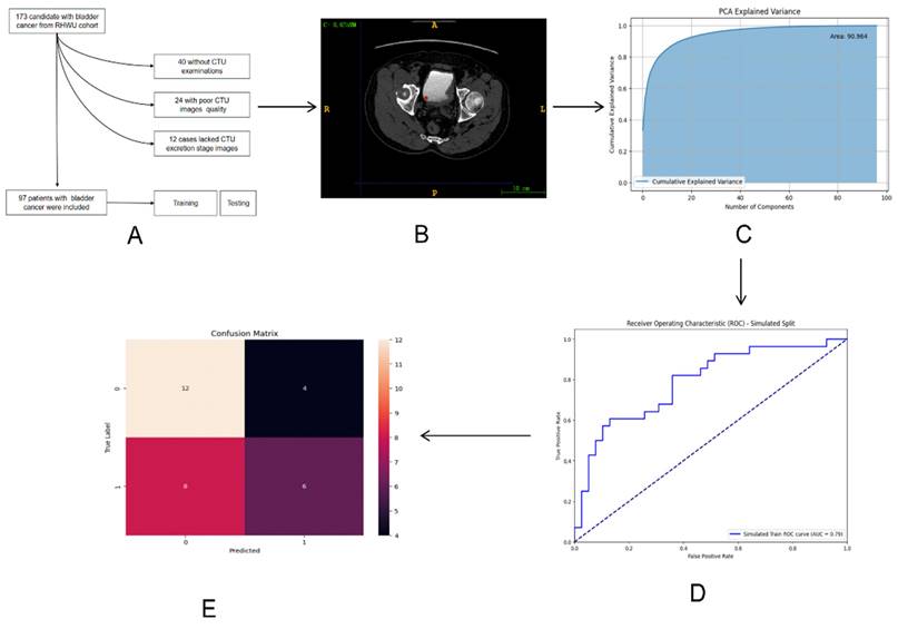 J Cancer Image