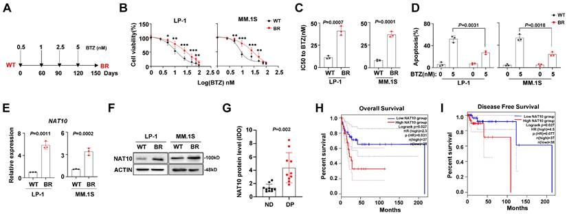 J Cancer Image