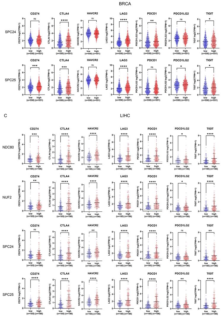 J Cancer Image