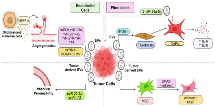 J Cancer Image