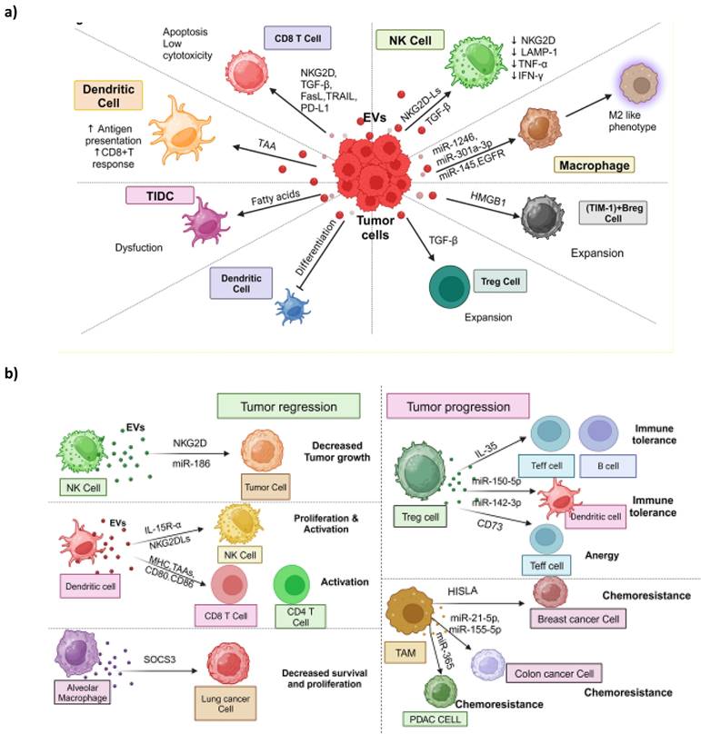 J Cancer Image