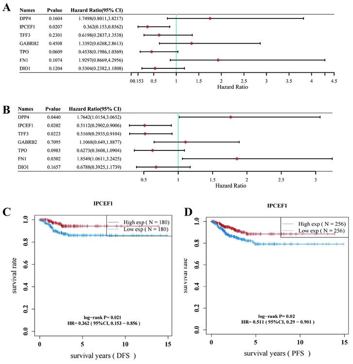 J Cancer Image