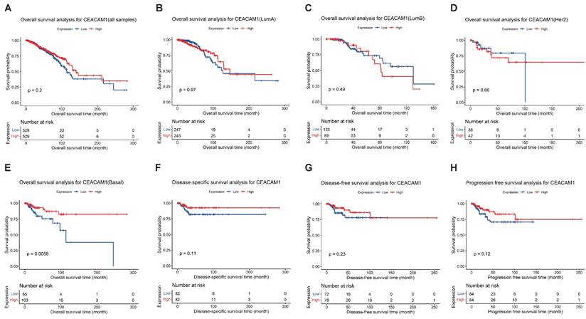 J Cancer Image