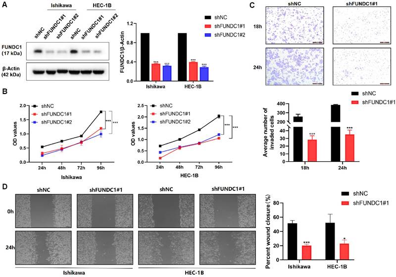 J Cancer Image