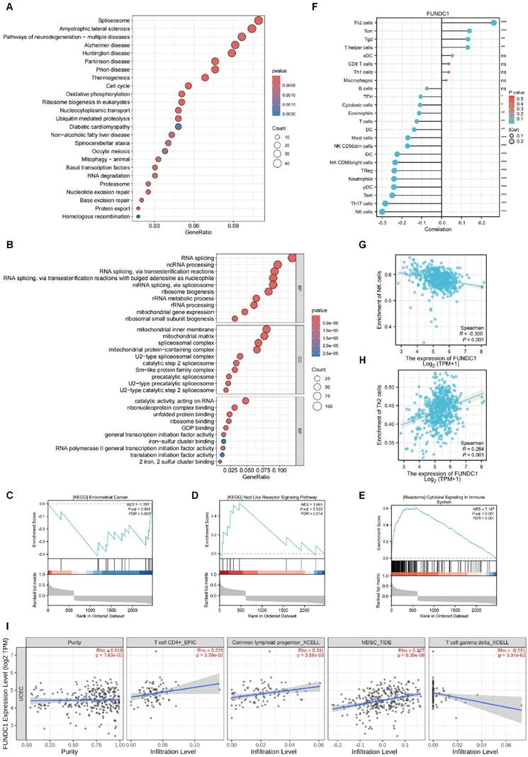 J Cancer Image