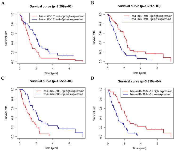 J Cancer Image