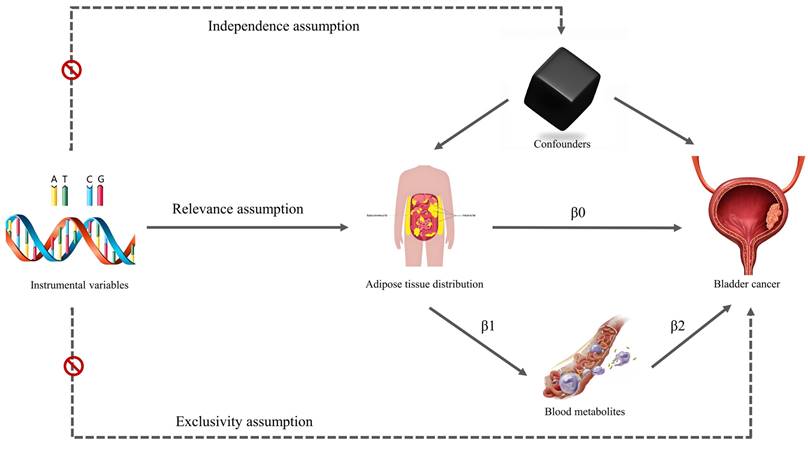 J Cancer Image