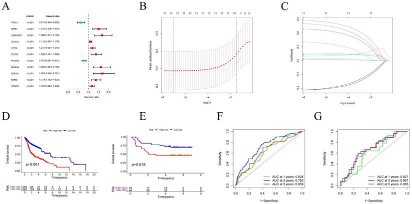 J Cancer Image