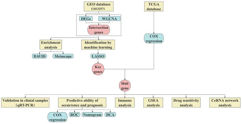 J Cancer Image