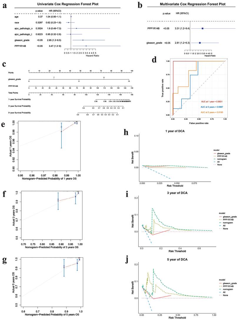 J Cancer Image