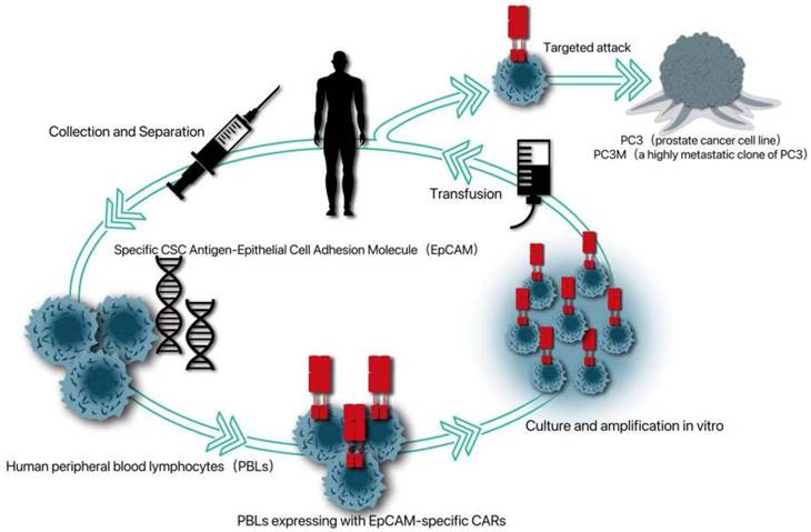 J Cancer Image