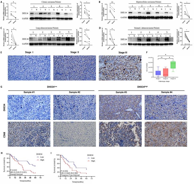 J Cancer Image