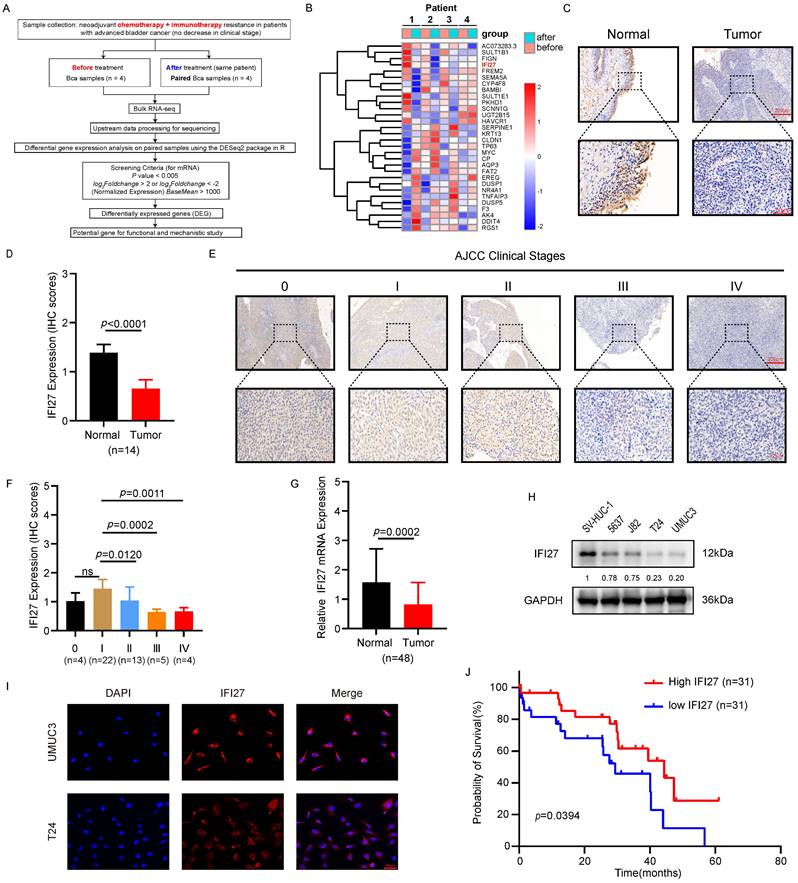 J Cancer Image