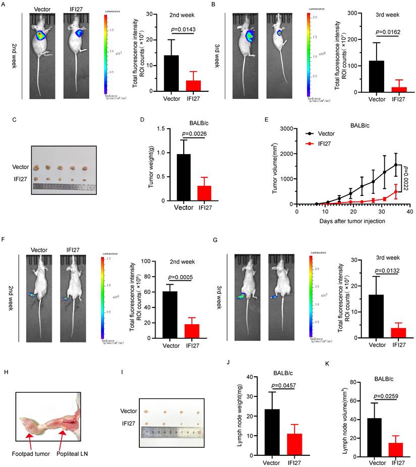 J Cancer Image