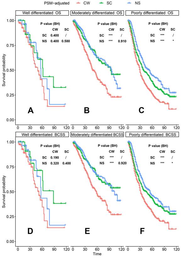 J Cancer Image