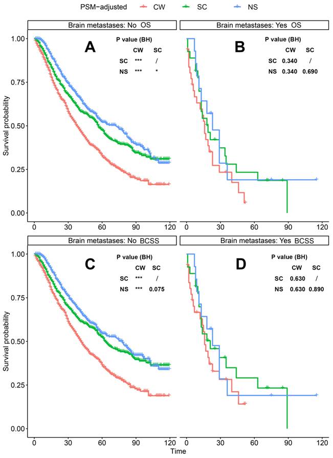 J Cancer Image