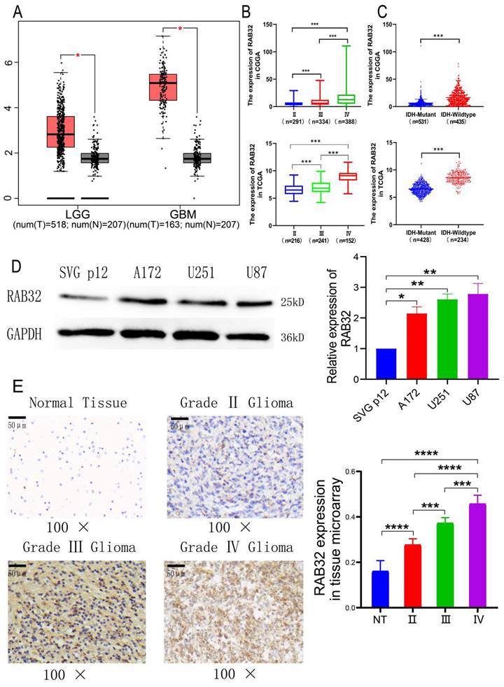 J Cancer Image