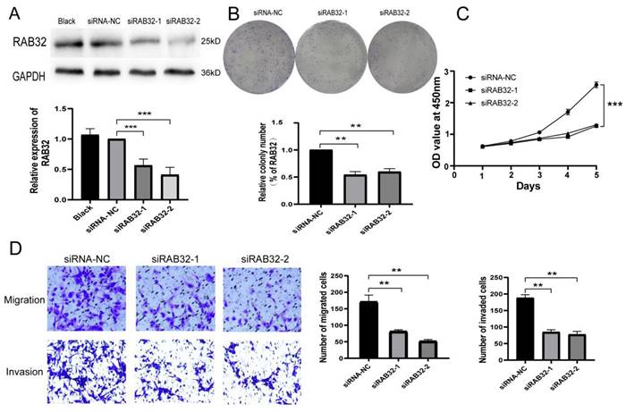 J Cancer Image