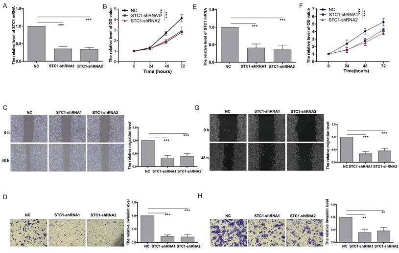 J Cancer Image