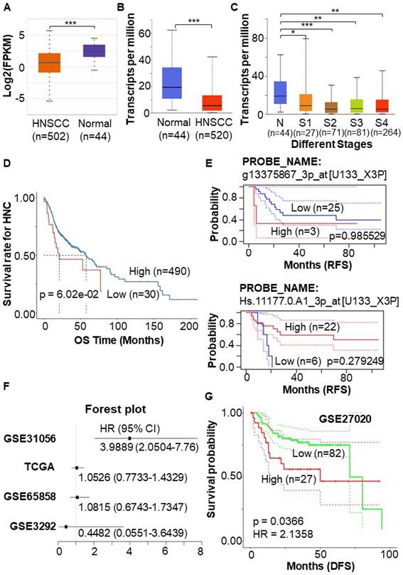 J Cancer Image